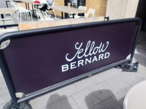 Yellow Bernard outside2